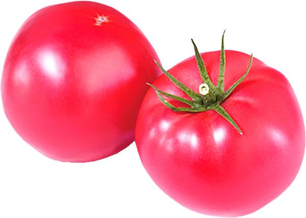 Paradajz pink kg