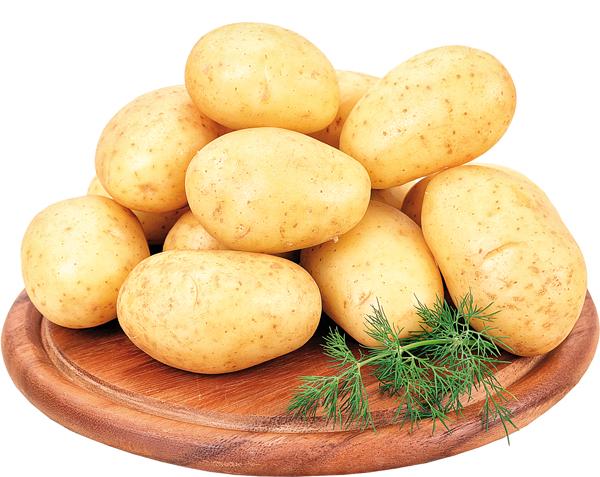 Krompir beli mladi kg