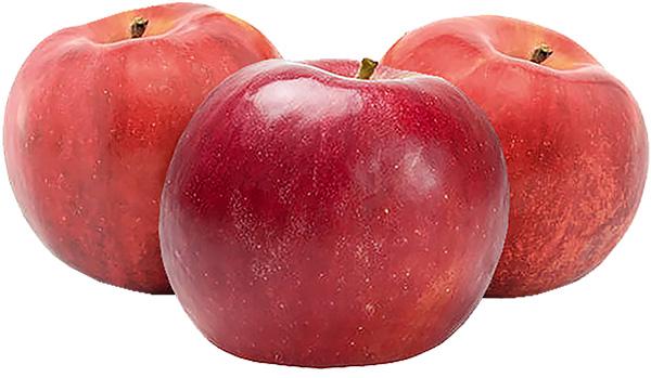 Jabuka Ajdared extra kg