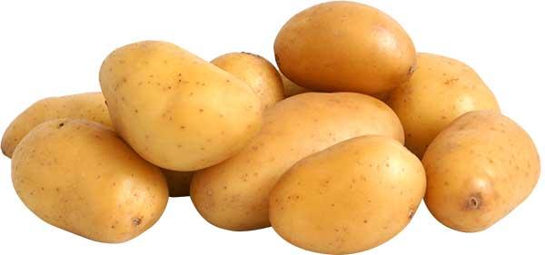 Krompir beli opran kg